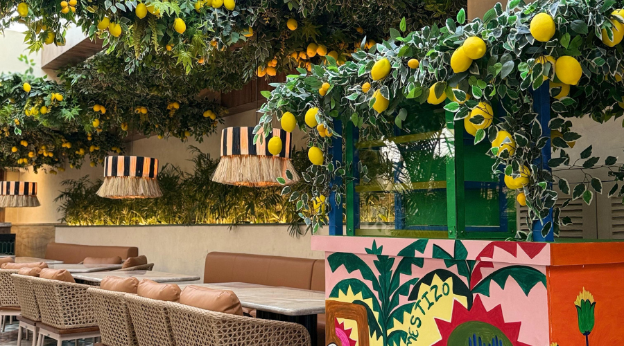 Mestizo Restaurant