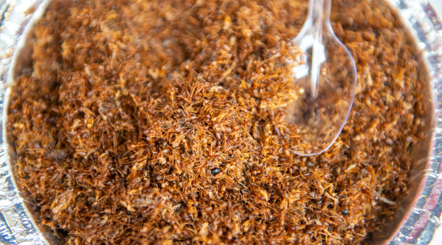 Unique Chutney's Of Jharkhand