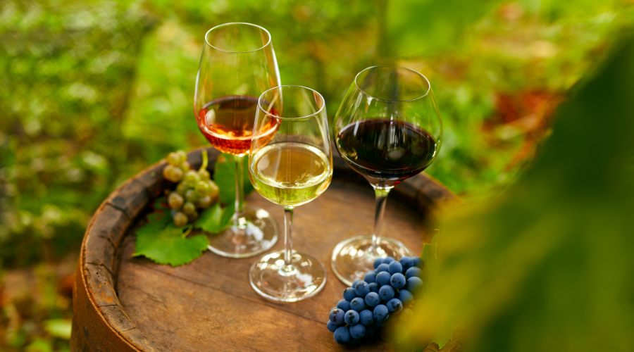 The Ultimate Wine Trail: 6 Best Vineyards To Visit In India