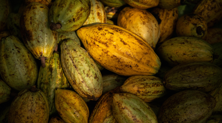 World Chocolate Day 2025 