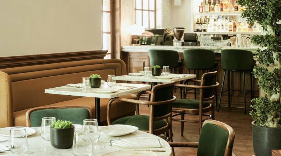 Experience refined indulgence at Noe