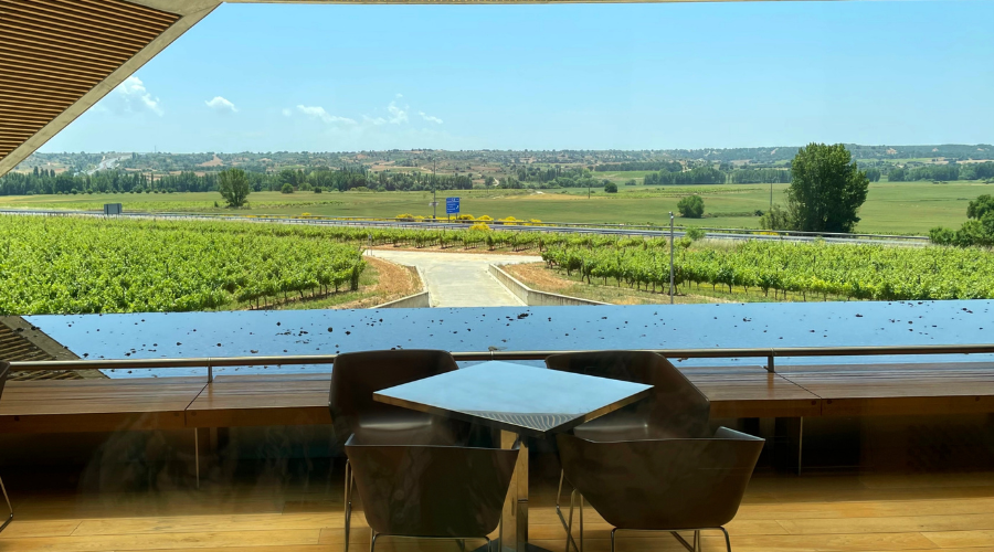 Views from the winery