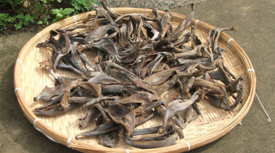 Sun-dried banana peels used for making Khar